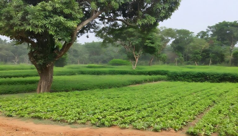 Green Retreats: Exploring Farm Plots Near Bangalore for Tranquil Living